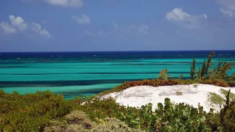 Middle Caicos