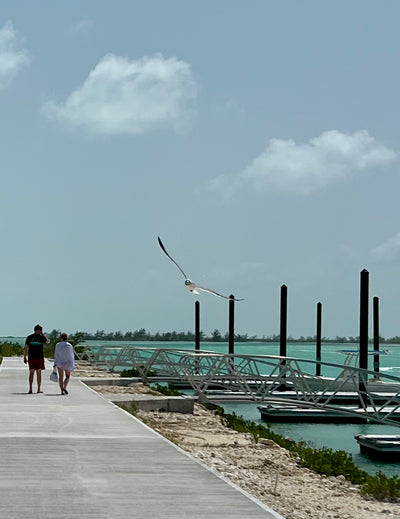 North and Middle Caicos Full Day